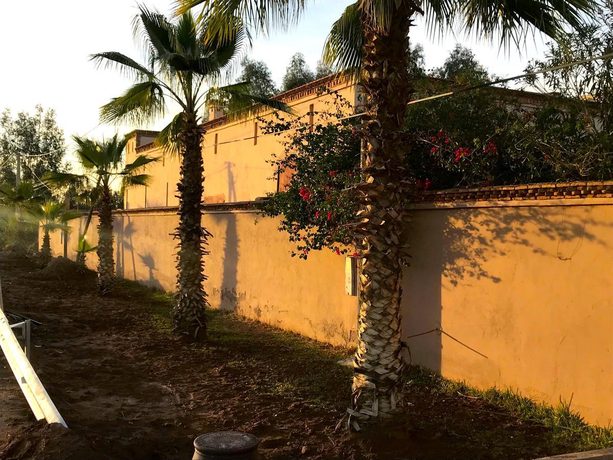 Palais Souad Villa Marrakesh Buitenkant foto